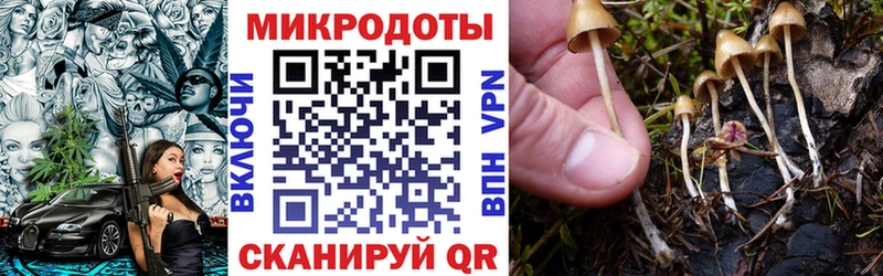 Галлюциногенные грибы мухоморы  купить наркотики сайты  Белебей 